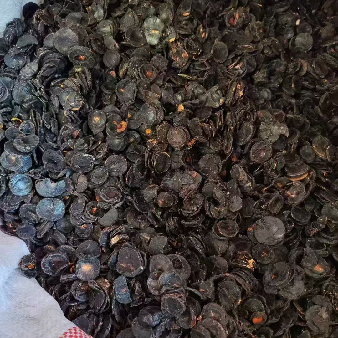 便秘果纯果肉大解果500g正品云南腊肠树果纯植新货散装天然腊肠果