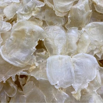 加州白花胶 厚肉不腥耐炖鲜炖奶冻很合适的一款赤嘴鳘鱼胶一件代