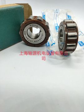 61021yrx轴承 61017yrx轴承 整体偏心轴承 减速机轴承