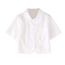 JK基础款衬衫女设计感小众2024夏季新款短袖短款衬衣学生白色上衣