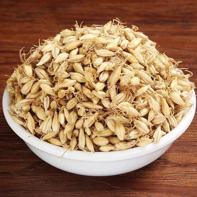 批发中药材麦芽