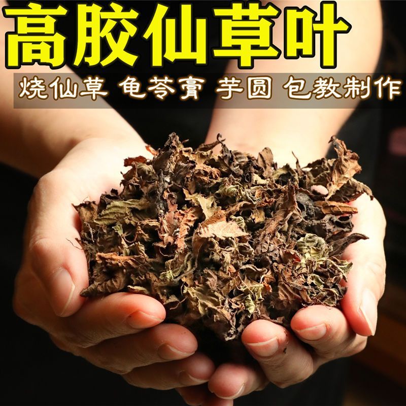 77成交38件仙草新鲜草干 仙草干黑凉粉草 烧仙草原料仙草蜜 仙草冻