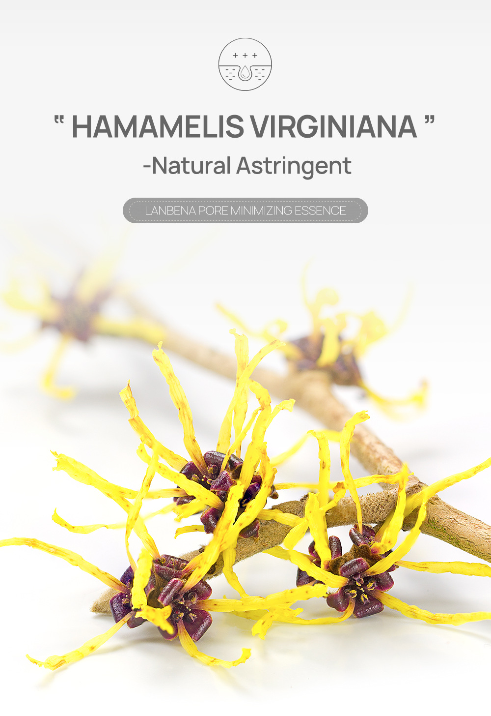 lanbena pore minimizing essence 毛孔收缩精华3号20ml 俄罗斯热