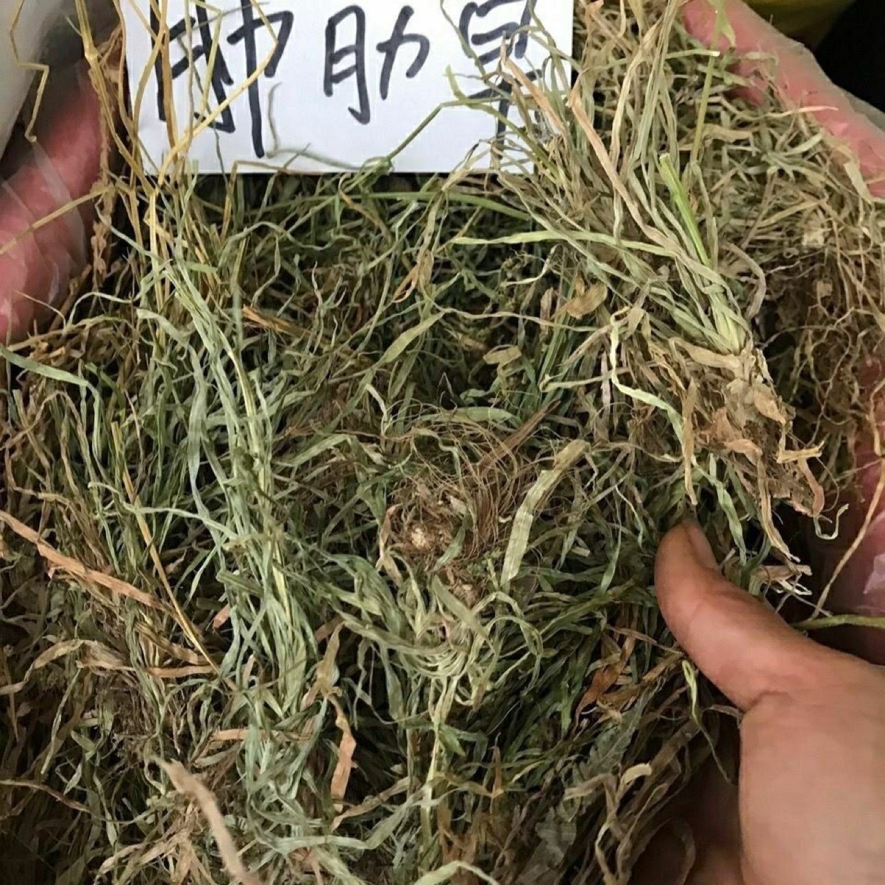 肺筋草 中药材 纯天然肺筋草小肺筋草 中草药另有肺心草