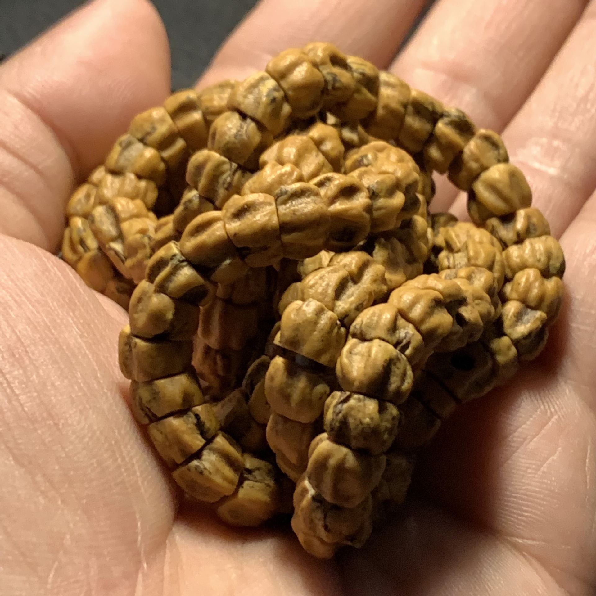 厂家批发百香籽108颗手串佛珠手链文玩藏式念珠菩提子原籽柏香子