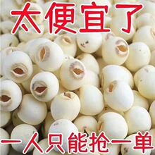 【降价了】莲子 干货特级无芯红莲子新鲜磨皮湖南特产去芯白莲子