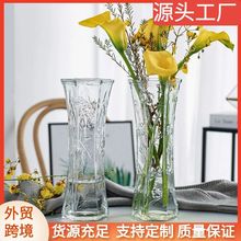大号玻璃花瓶水培富贵竹摆件 ins风创意花瓶高级感客厅软装插花器