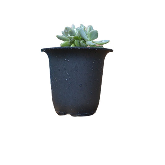 万象盆中号多肉钵 矮胖塑料花盆多肉植物专用花盆
