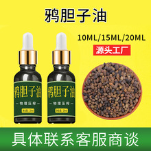 包邮 老鸦胆子苦参子鸦胆子鸦蛋子鸭蛋子鸭胆子 颗粒大饱满_阿里巴巴