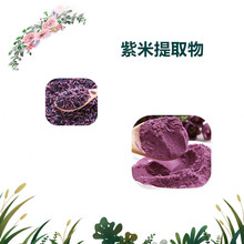 沃特莱斯生物 紫米提取物 速溶粉 原粉 厂家供应 2kg起批