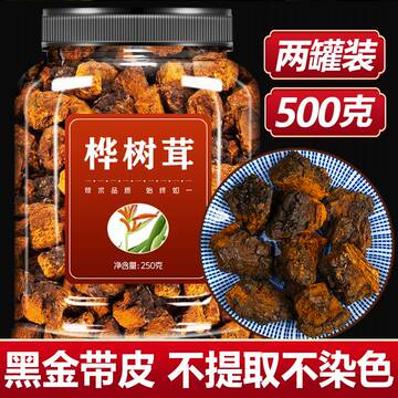 一斤桦树茸俄罗斯进口旗舰店黑金颗粒长白山野生白桦茸天然胰岛素