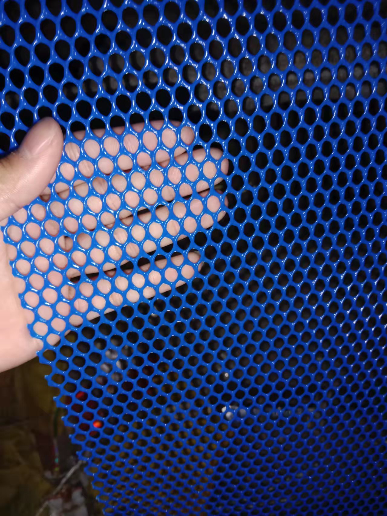 塑料平网 白色塑料养殖网 育雏养鸡塑料网 河北塑料平网玉斌厂家