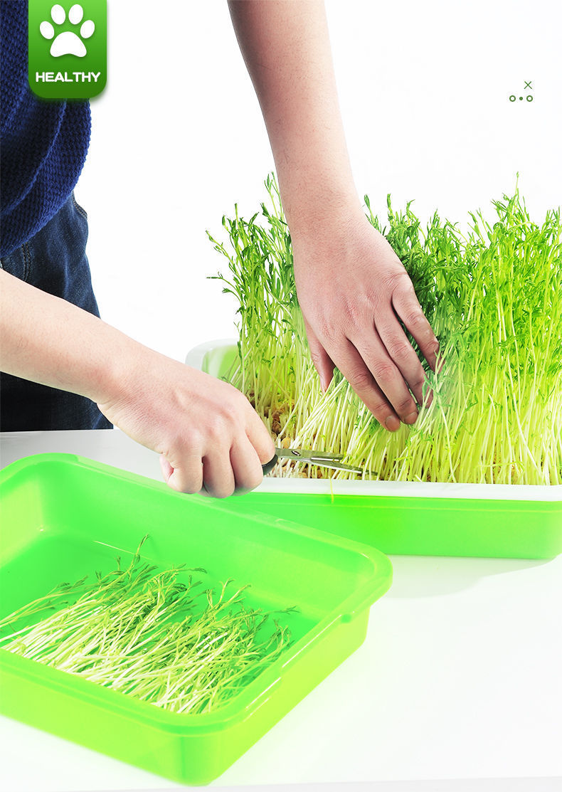 育苗托盘育苗盘水培盆生豆芽发芽盆无土栽培种植盘芽苗菜豌豆苗盆