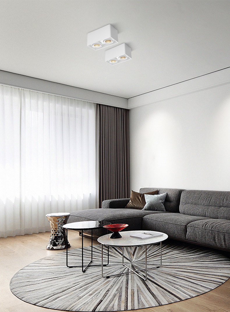 雷士照明led射灯方形明装筒灯家用斗胆灯无主灯明装双头格栅射灯