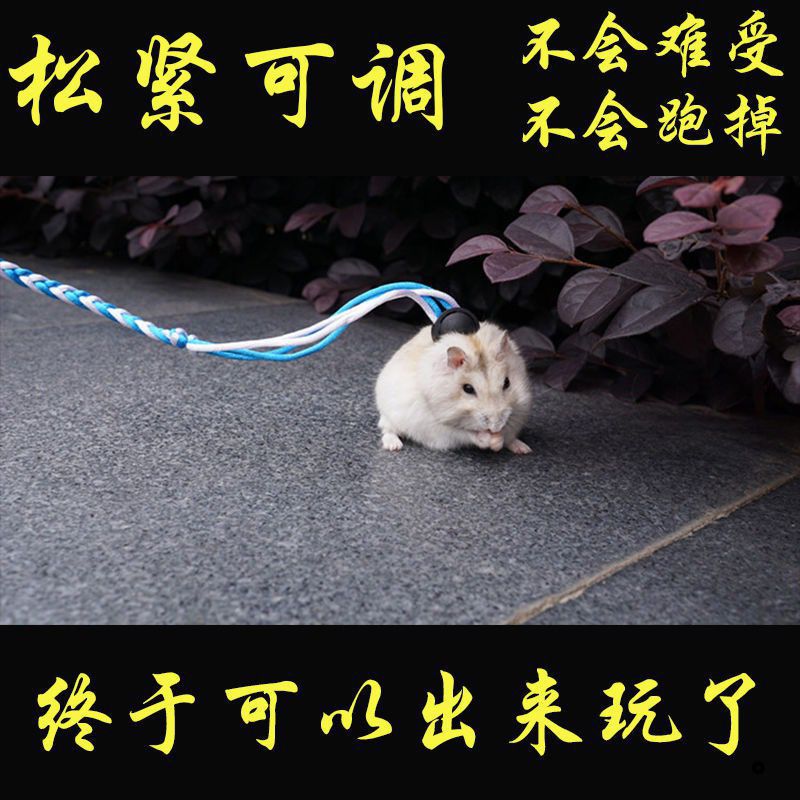 仓鼠牵引绳溜鼠绳溜兔子绳小宠物用品鸭子猪可伸缩背带式绳子