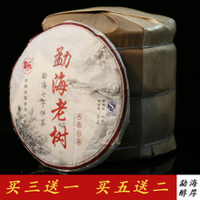云南普洱茶熟茶饼茶 5年-10年 勐海老树金芽饼熟茶饼 陈年老茶