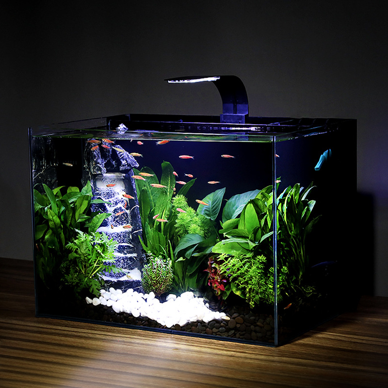 超白玻璃生态鱼缸水族箱自循环免换水客厅电视柜家用桌面生态草缸