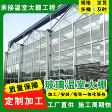玻璃温室大棚农业建设 瓜果蔬菜温室大棚 智能展览花卉种植大棚
