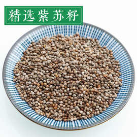 紫苏子籽 苏子粒 苏子籽50g250g500g生紫苏籽非紫苏叶