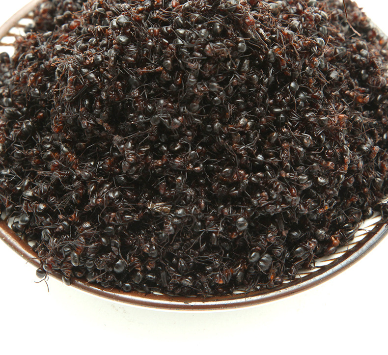 产地批发红蚂蚁长白山红蚂蚁500克/件 一件闪电代发闪电发货