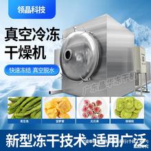机真空冷冻干燥机设备加工大型草莓水果蔬菜宠物燕窝商用