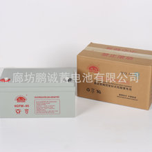 12V100AH免维护长寿命UPS电池支持快速充电应急备用电源电信基站