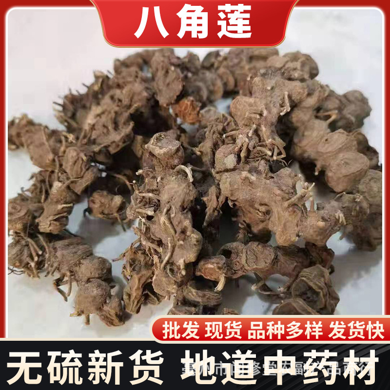 八角莲中药材 金魁莲 叶下花 一把伞 冷背奇中药材-阿里巴巴