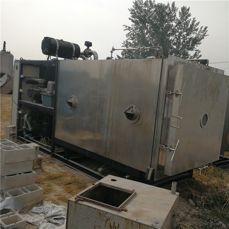 果蔬冻干机 真空冷冻干燥机 30平方桑葚果冻干机价格