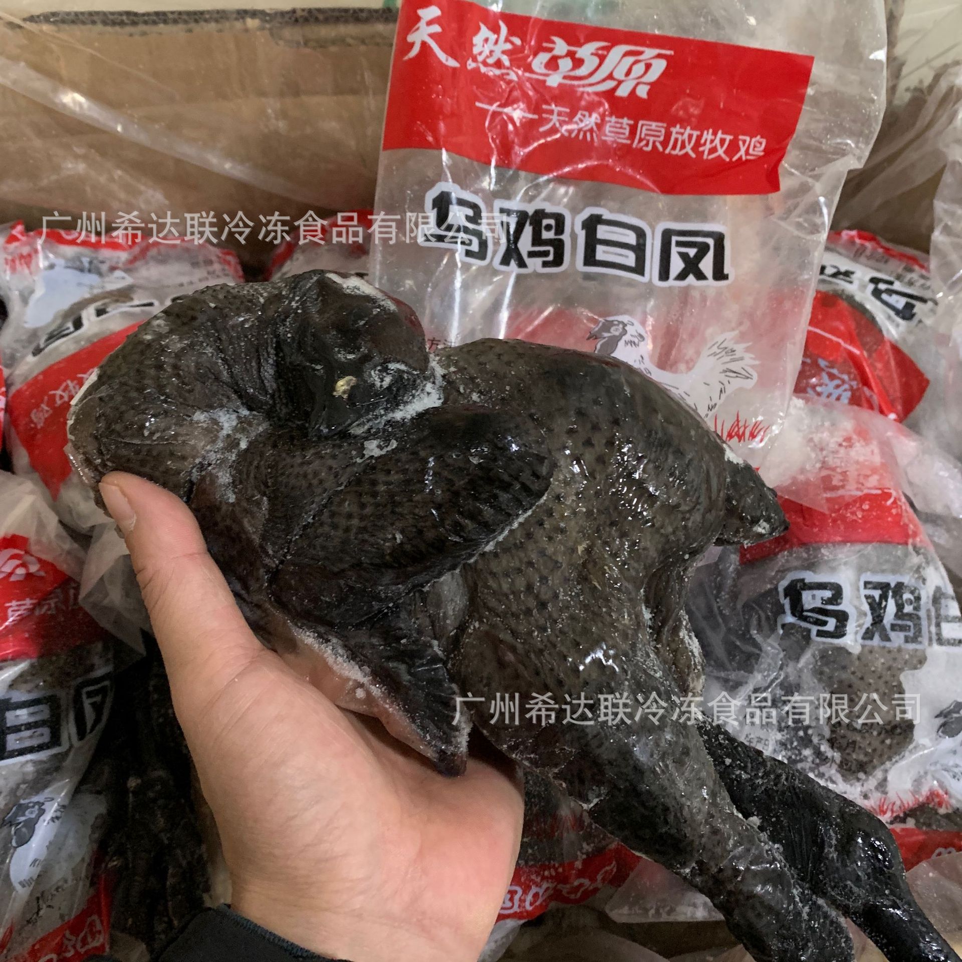 冷冻乌鸡 乌鸡白凤 9只20斤/箱 生鲜冷冻竹丝鸡 炖汤乌鸡-阿里巴巴