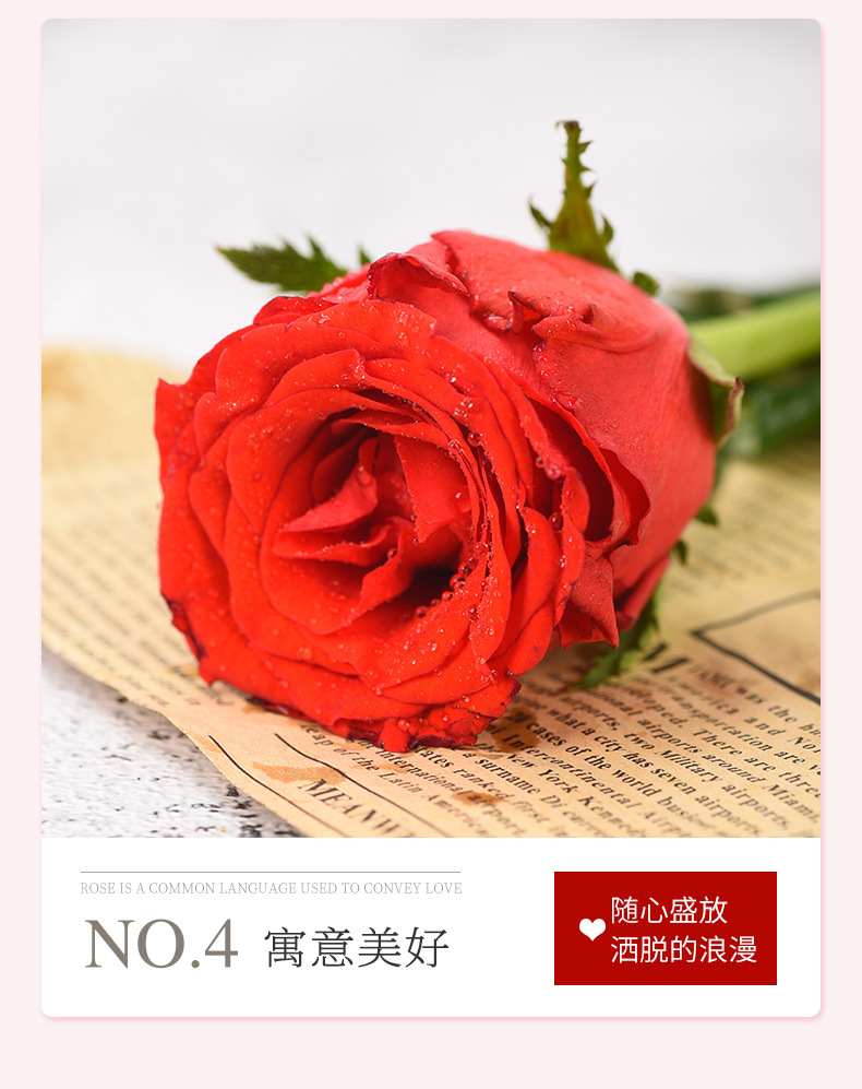 珍爱玫瑰花花束鲜切花 云南鲜花批发 室内办公室装饰水养插花批发