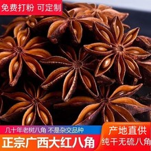 广西大红八角春花八角现货批发家用商用炒菜炖汤调味料量大价优