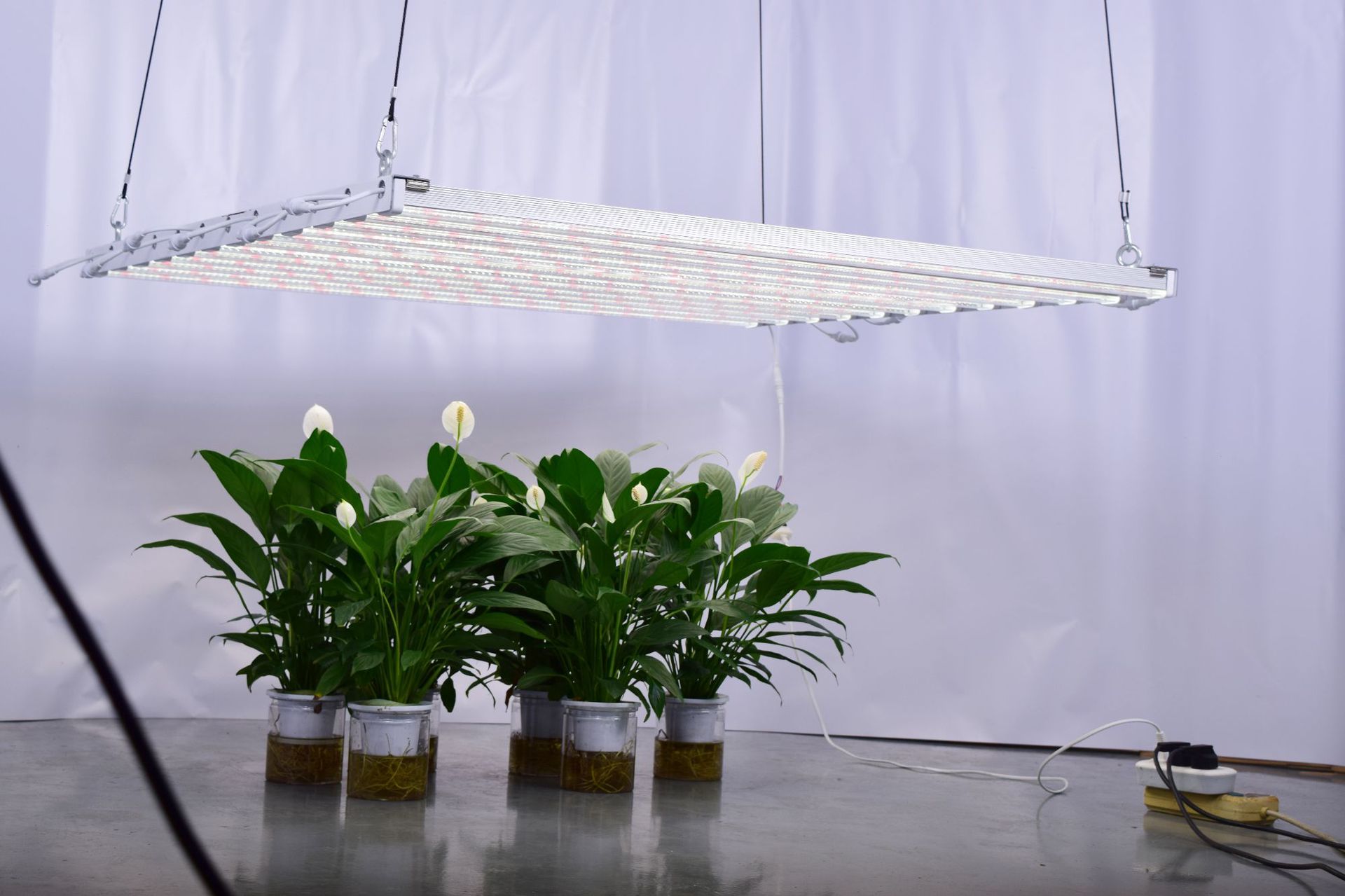 led植物生长灯大功率t12组合全光谱植物灯温室瓜果蔬菜多肉补光灯