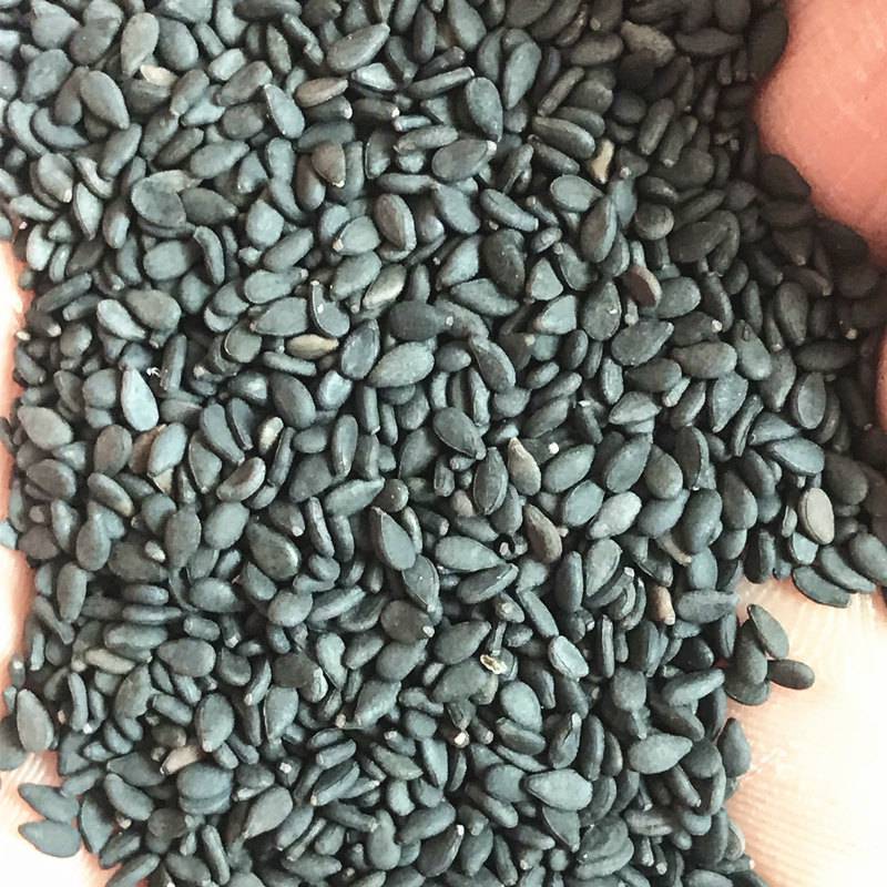 21年新货黑芝麻生熟天然无染色河南特产农家自产驻马店无沙饱满