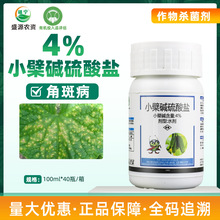 清源保4%小檗碱硫酸盐水剂黄瓜角斑病生物碱杀菌剂有机农药