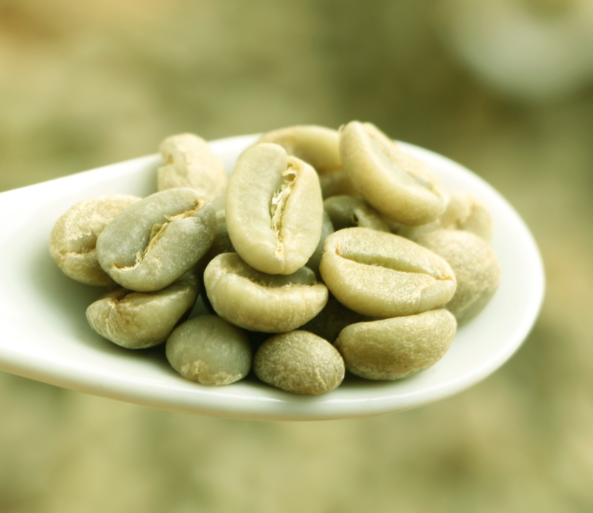 北京咖啡豆供应