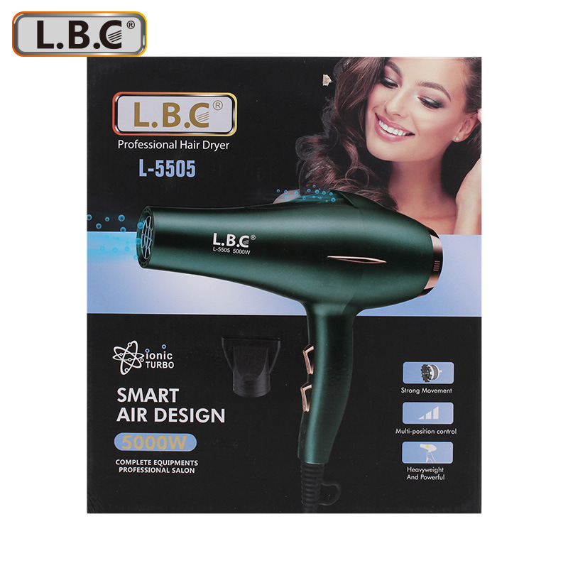 Cross-Border Hot Selling Hot Sale Hair Dryer Hotel for Hair Salon Hair Dryer Blue Light Anion High Power Hair Dryer