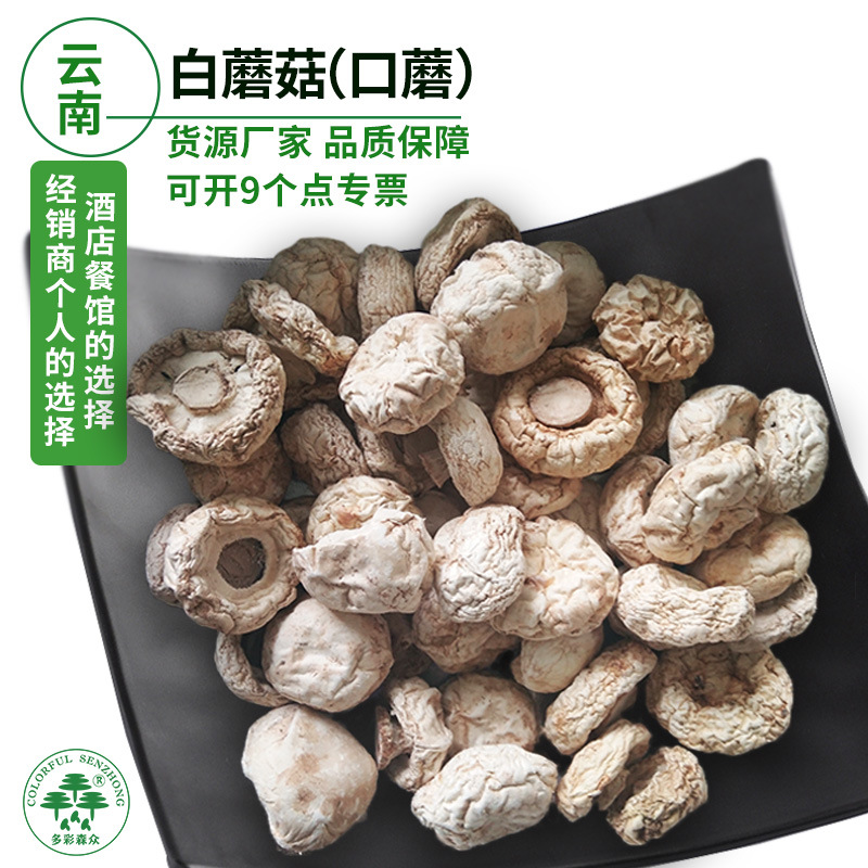 口蘑干品1000克云南特产大个无根白蘑菌菇白蘑菇干货菌白蘑菇批发