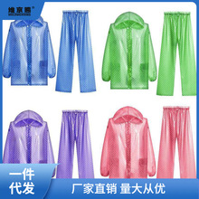 新款雨衣雨裤套装成人男女防水全身分体户外透明薄款野趣雨衣科科