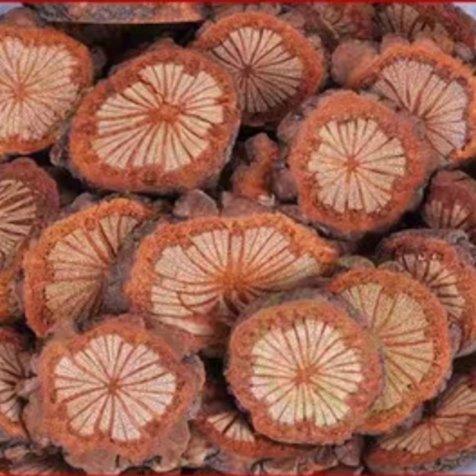 0成交1件红藤选装红藤大血藤 五花血藤 新货大血通