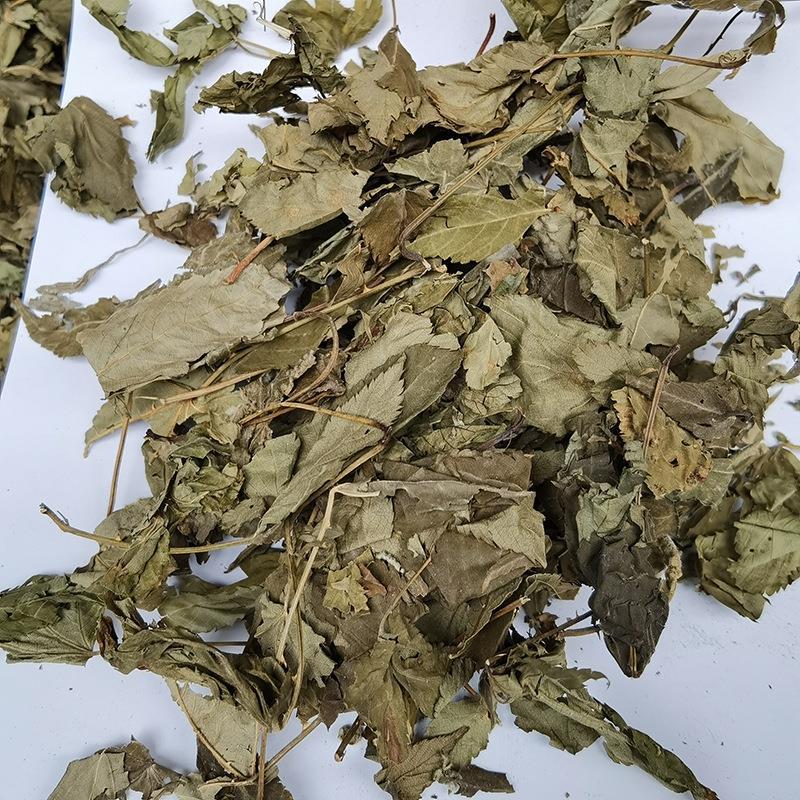广西中药甜茶叶 覆盆子叶 刺儿茶甜叶茶广西大瑶山野林甜茶叶
