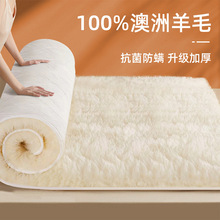 羊毛床垫软垫家用卧室冬季羊羔绒毛毯单人冬天加厚保暖垫被床褥子
