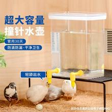 芦丁鸡饮水器自动喂食器鸟用食盒食槽防撒撞针饮水器防污超大容量