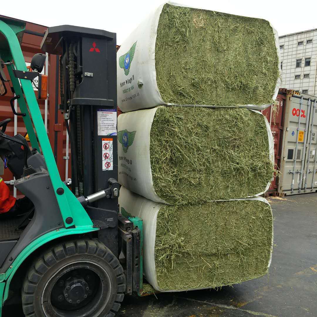 【美国一手货源,直接进口商】优质美国进口苜蓿草现货供应-阿里巴巴