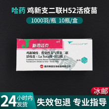 哈药鸡新支二联疫苗鸡新城疫传染性支气管 炎活疫苗H52株鸡瘟疫苗