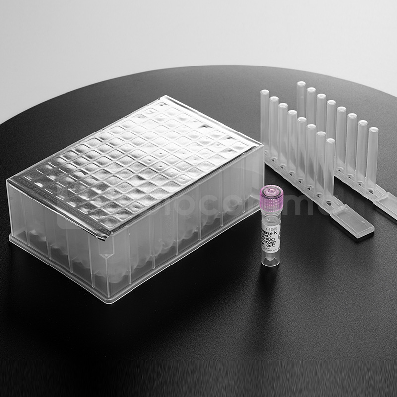 逗邦 预分装磁珠法 32preps/盒 血液基因组dna提取试剂盒