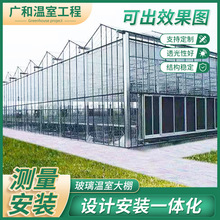 厂家直供 抗风雪玻璃大棚 蔬菜种植温室大棚 热镀锌钢管智能温室