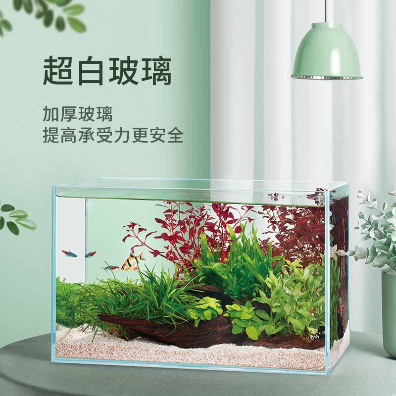 Fish Tank Ecological Desktop Aquatic Plants Landscape Home Ornamental Fish Turtle Jar Douyu Small Living Room Super White Glass Cylinder