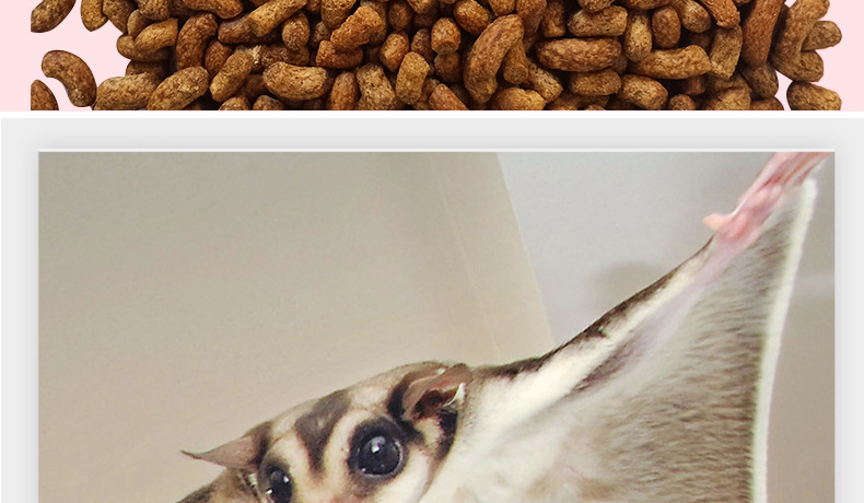 全阶段蜜袋鼯主粮小蜜成蜜粮食全价蜜袋鼯宠物零食膨化饲料1kg