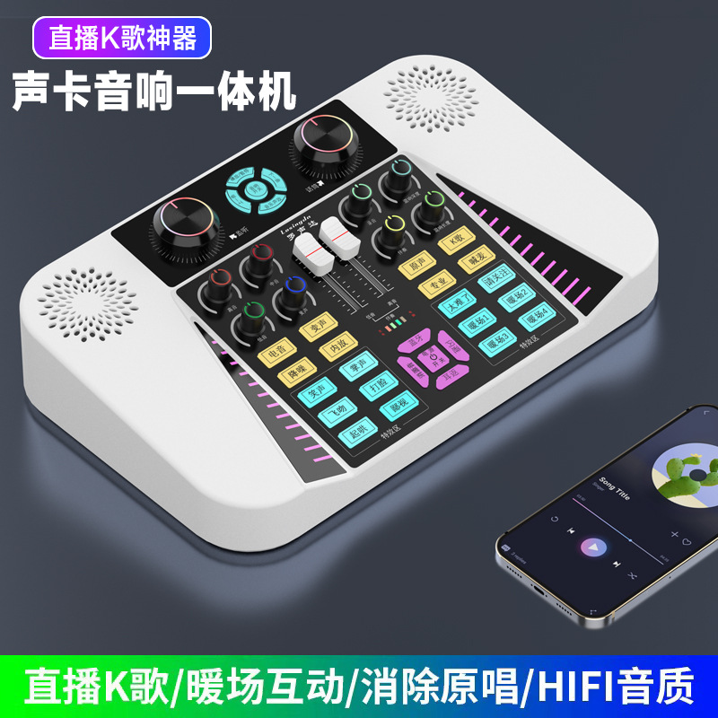 罗声达d8音响声卡一体机网红声卡直播室内户外音响广场舞k歌神器