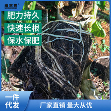 云南腐叶土腐熟透气腐殖土多肉绿植家用种花种菜专用营养土泥维宇